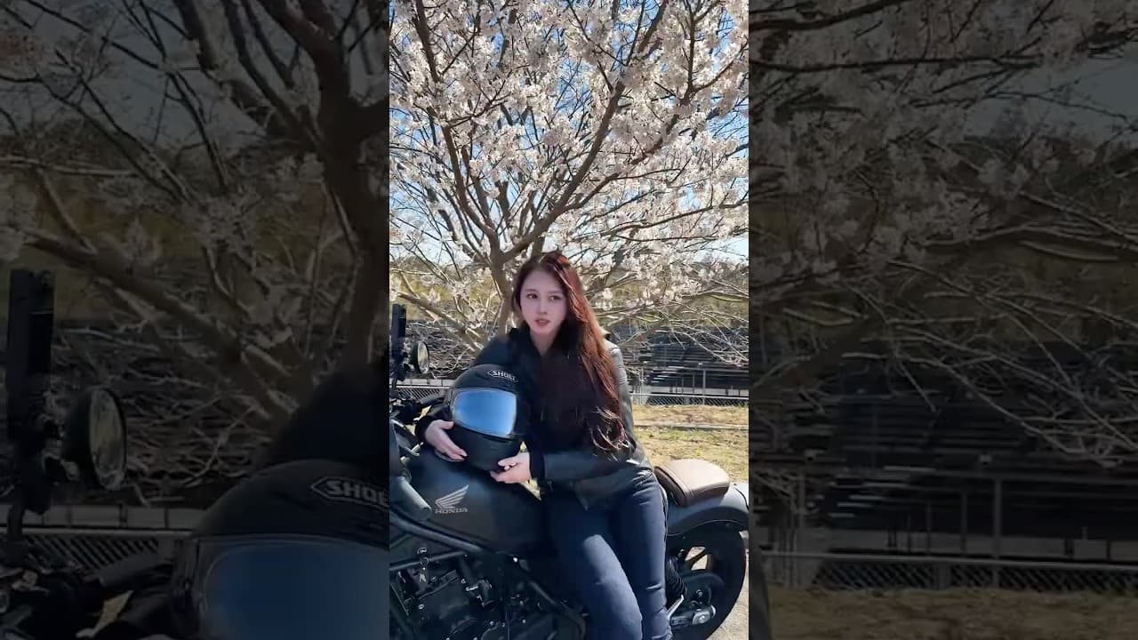 鹿の間 の動画サムネイル